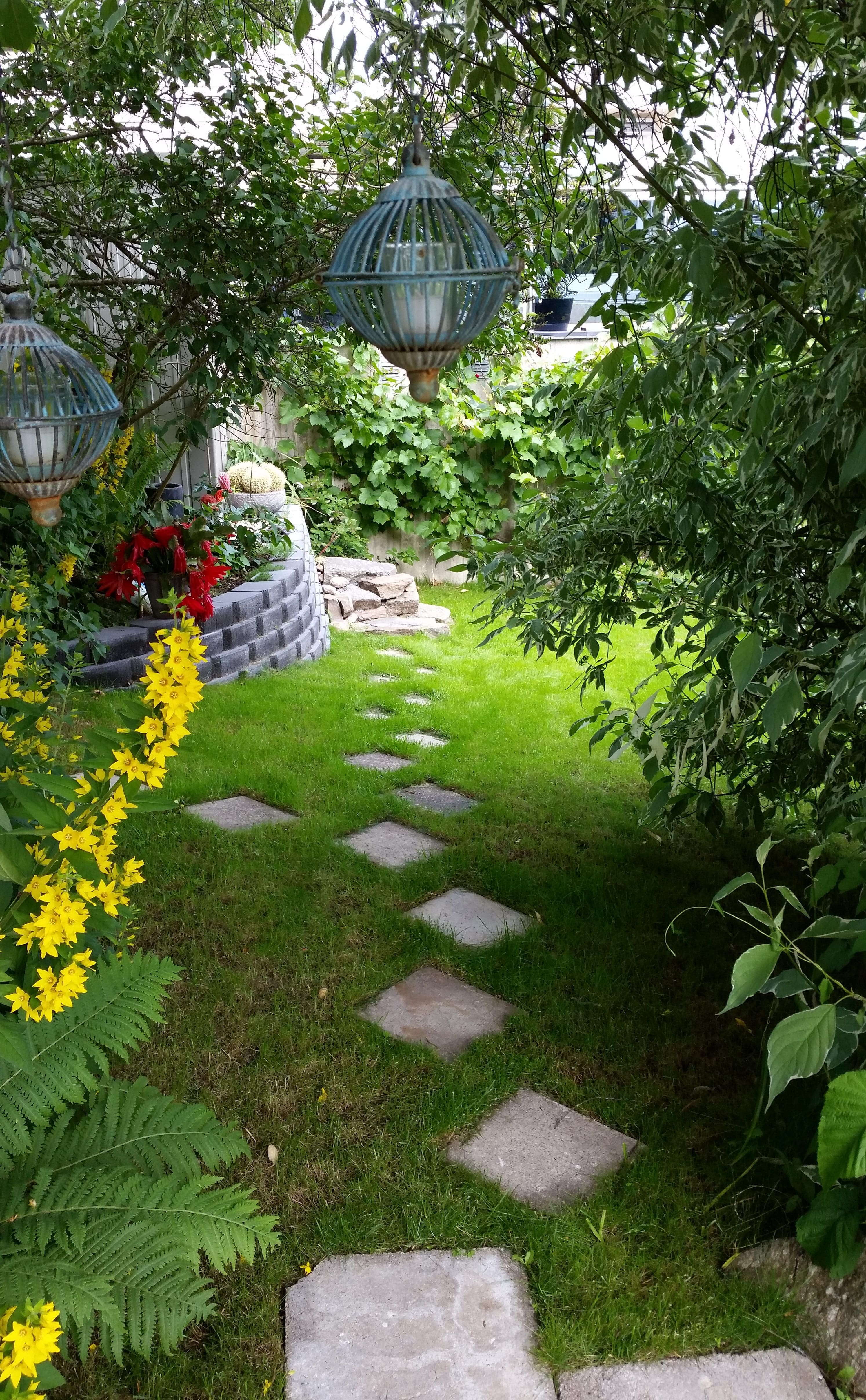 Hageblogg hageinspirasjon hagetips planter stauder