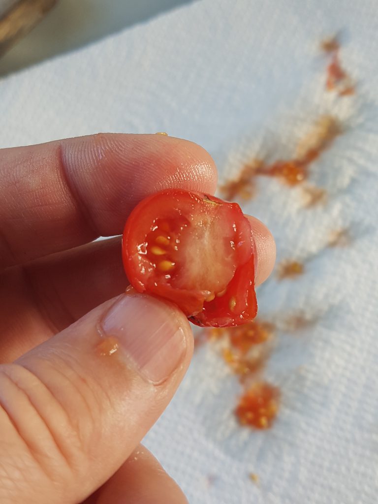 Dele tomaten i to for å komme til frøene