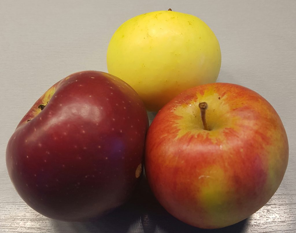 3 sorter eple fra samme tre. Gule øverst er orginal. 