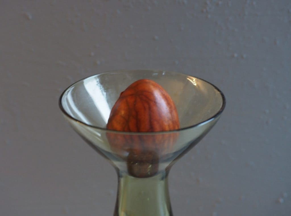Nye grønnplanter