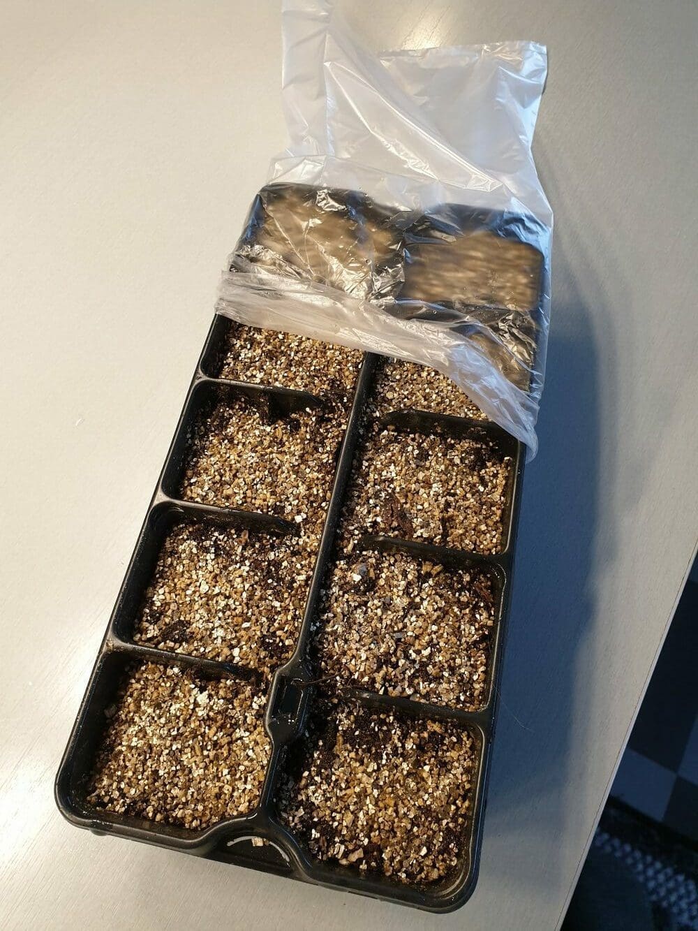 Plastpose som minidrivhus