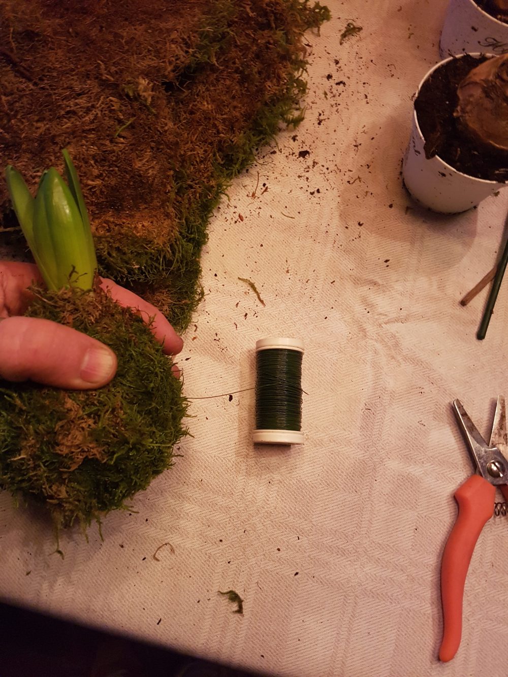 Til mosearbeid bruker jeg grønn myrtetråd. vikler rundt og strammer for å holde formen