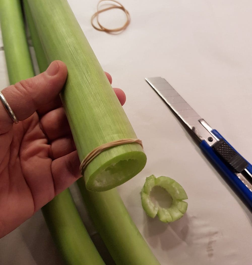 Slik behandler jeg avskårne amaryllis for bedre holdbarhet