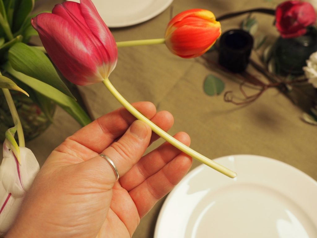 Tulipaner som borddekorasjon