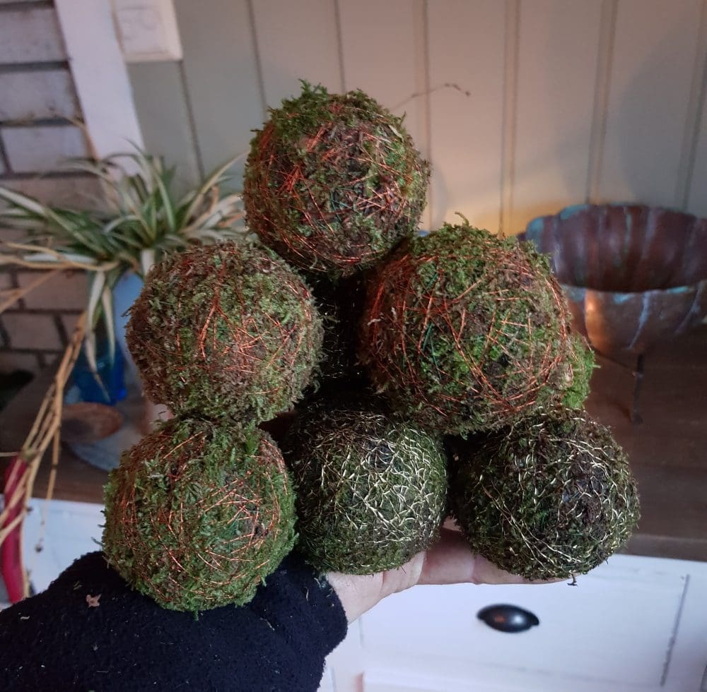 En søndag til å lage mosekuler i alle størrelser