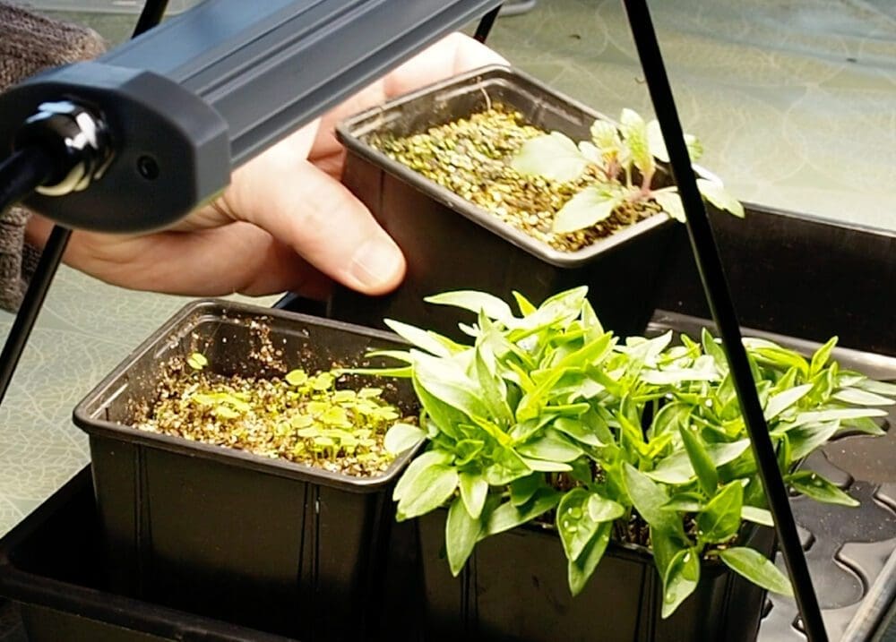 Lys i Drivhus: Optimaliser Plantenes Vekst med Riktig Belysning () Lys i Drivhus: Optimaliser Plantenes Vekst med Riktig Belysning