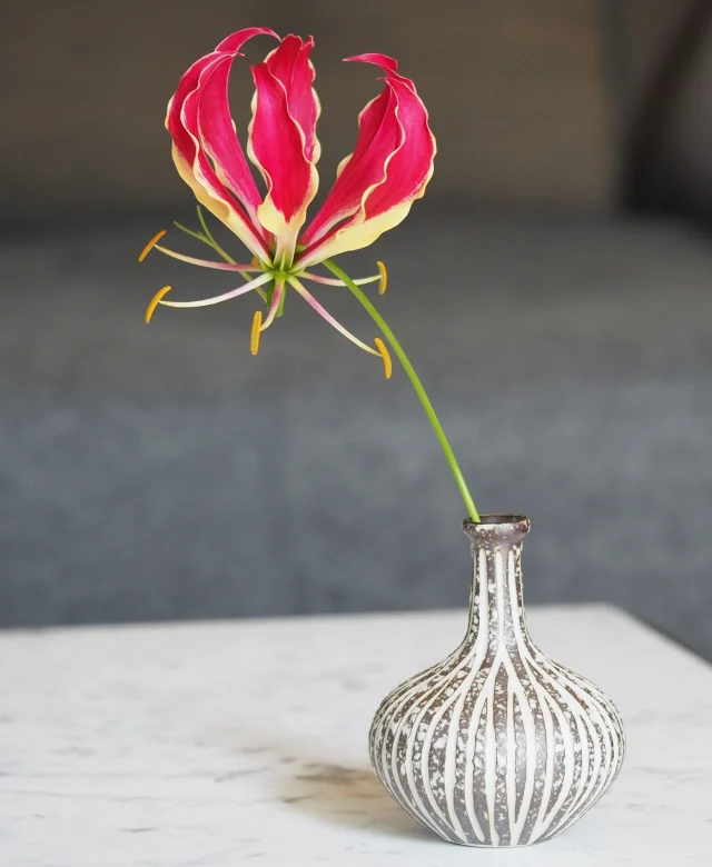 En eneste enkelt blomst er alt som trengs noen ganger ⁠
- Og nå er det helg🤩💚⁠
⁠
⁠
#TGIF #gloriosa #gloriosasuperba #simplicity #bouquet #floristry #flowermagic #springfeeling #floral #plantdaddy #grøntpodden #flowersofinstagram #captures_flowers #magnificence #awesome_florals #eye_spy_flora #kings_flora