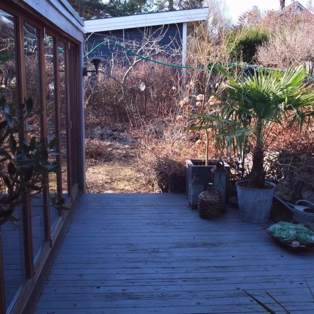 Før og etter på terrassen😅💚⁠
⁠
⁠
#vindmøllepalme #krukkehage #hageinspirasjon #terrasse #terrace #containergarden #grøntpodden #plantsmakepeoplehappy #garden #foliage #plantdaddy